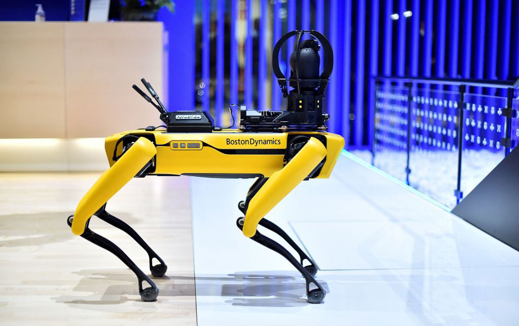 Robot Dog from Boston Dynamics Raised $40,000 in Charity Auction for Ukrainian Refugees