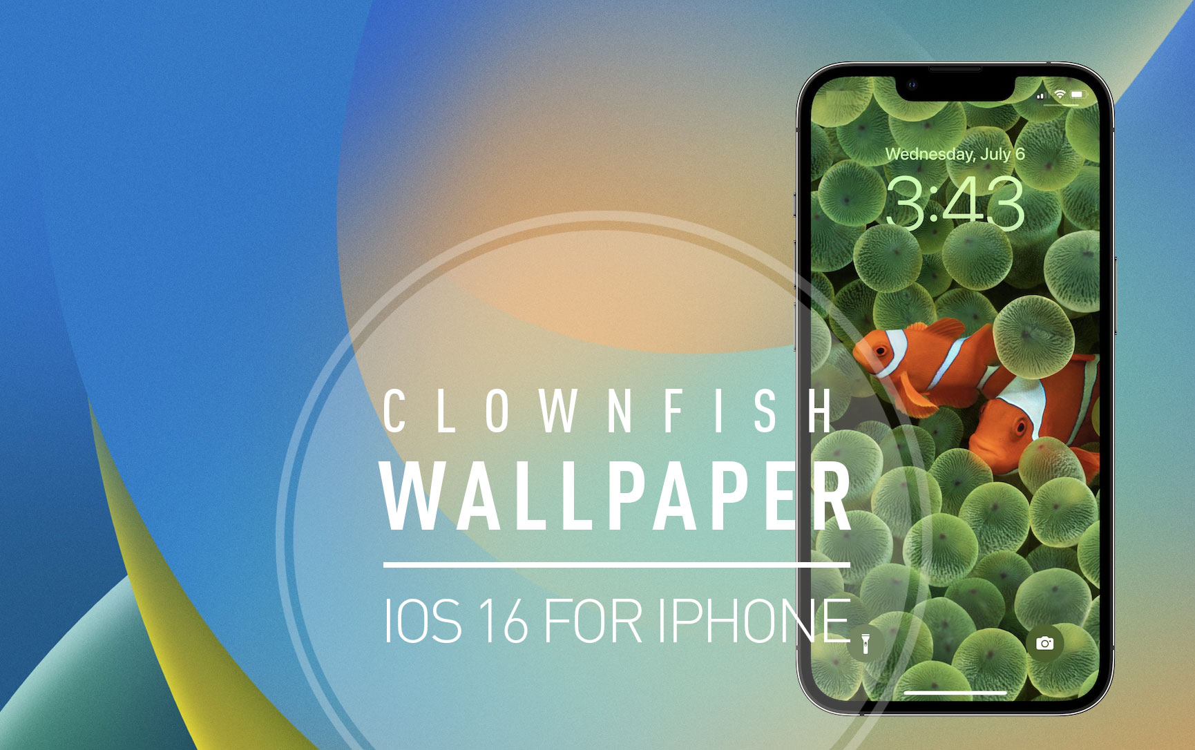 Clownfish Wallpaper Not Available On Iphone In Ios 16 Beta 3