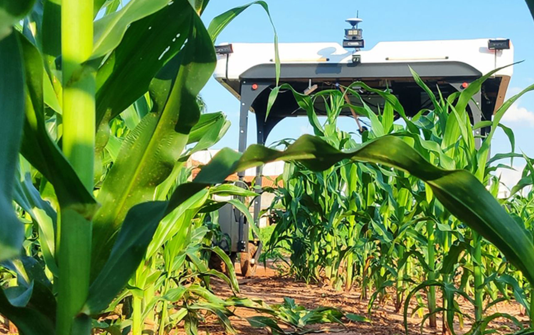 Robo-Farmers: Solinftec's Solar-Powered Robots Will be Offered to US Farmers Soon
