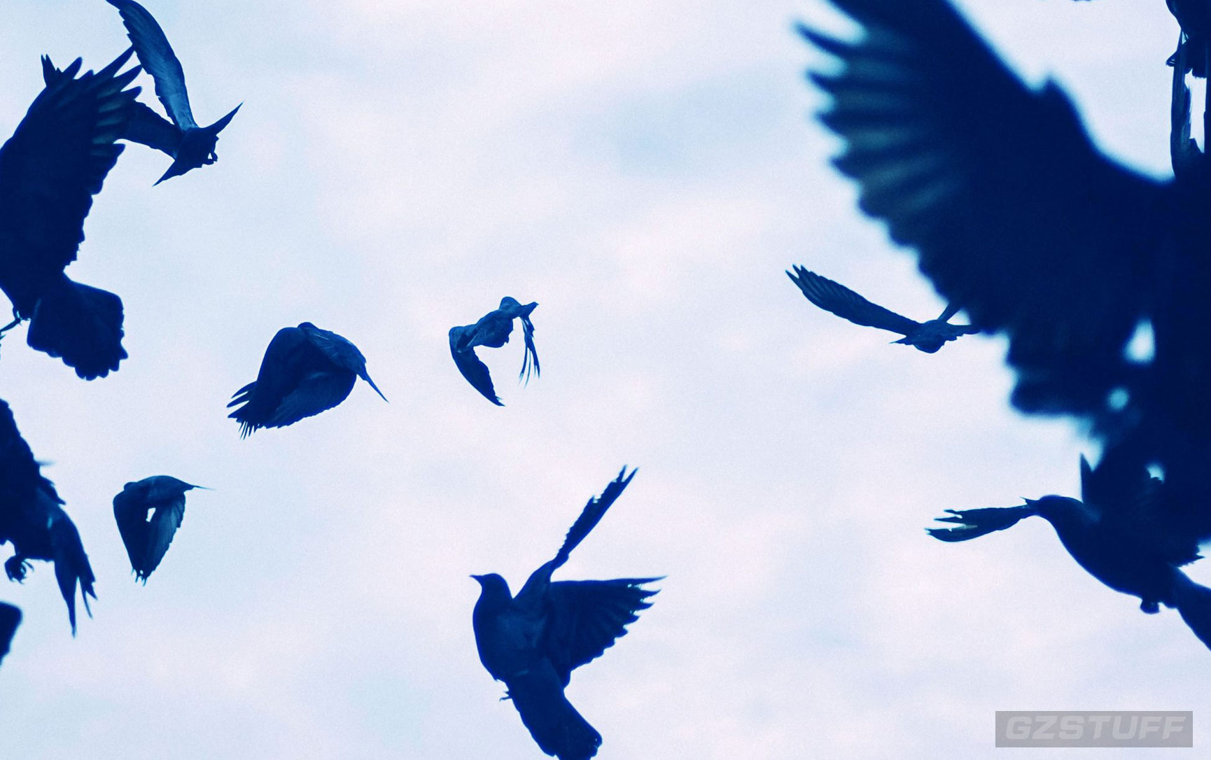 Twitter chaos continues: Epic trolling, and new blue checkmarks for iPhone owners only
