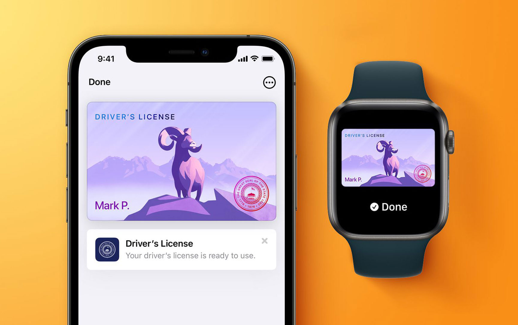 Apple Wallet Driver’s License: iOS 15.4 Beta Sees Code, When is it Coming?