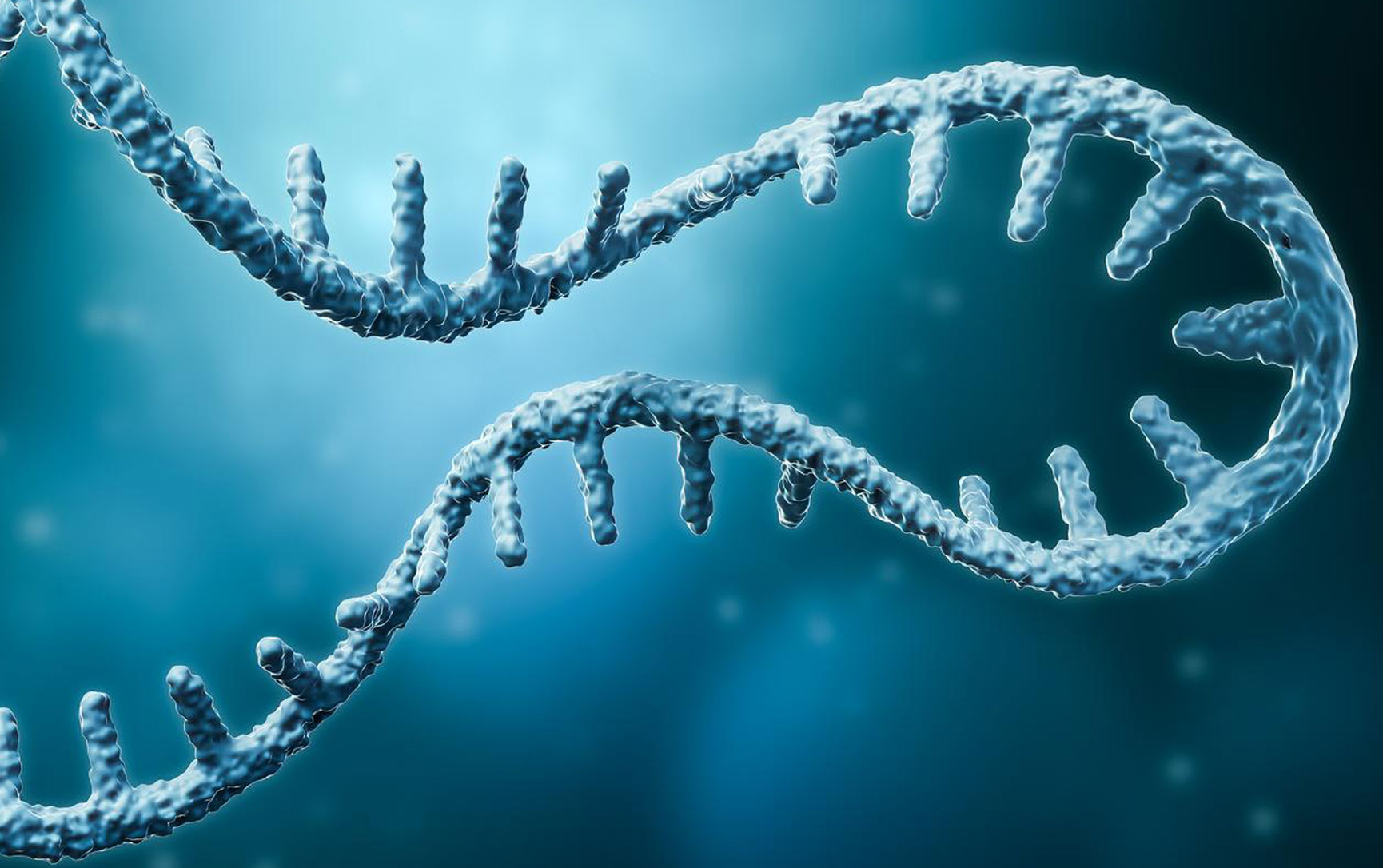 About Epstein-Barr Virus (EBV)