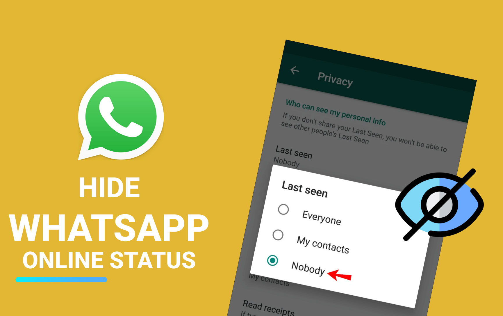 WhatsApp for iOS will let users hide their online status from everyone