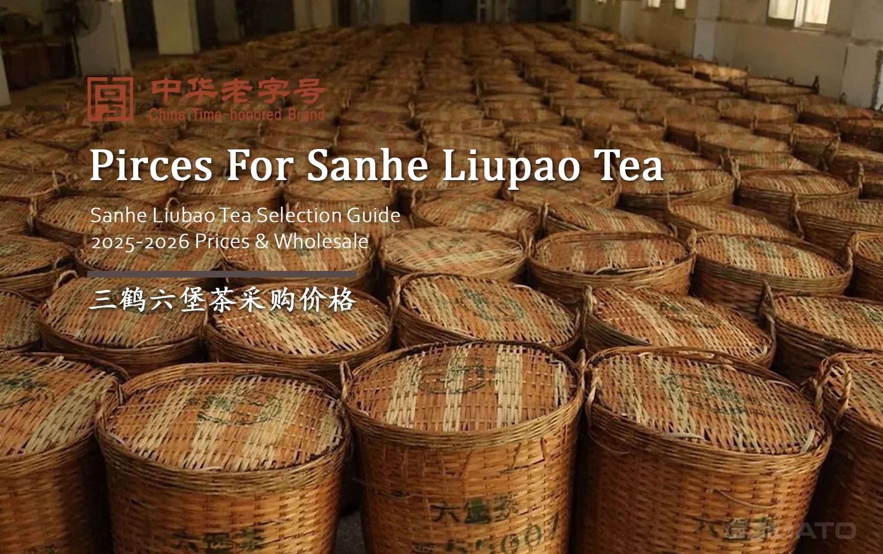 Sanhe (三鹤) Liupao Tea Selection Guide: 2025-2026 Retail Prices and Wholesale