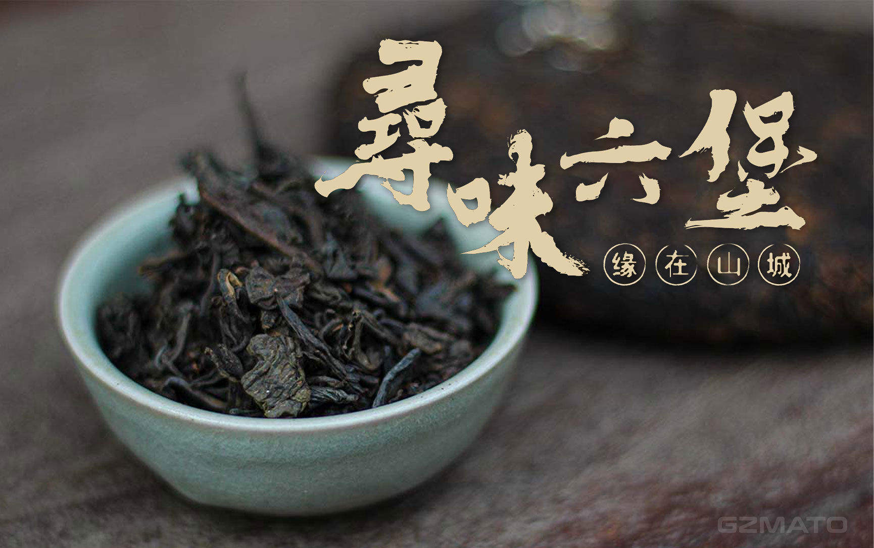 Sanhe (三鹤) Liupao Tea – Wholesale from China's Premier Time-Honored Tea Factory