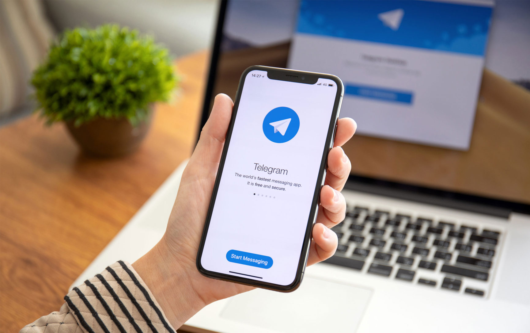 Telegram Premium is Now Confirmed! Are Free Users Still Getting New Features?